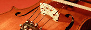 violon